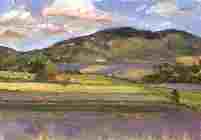 Lavender fields at Sault